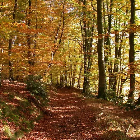 Bagnoles Escape Near Natural Park Bagnoles de l'Orne Normandie
